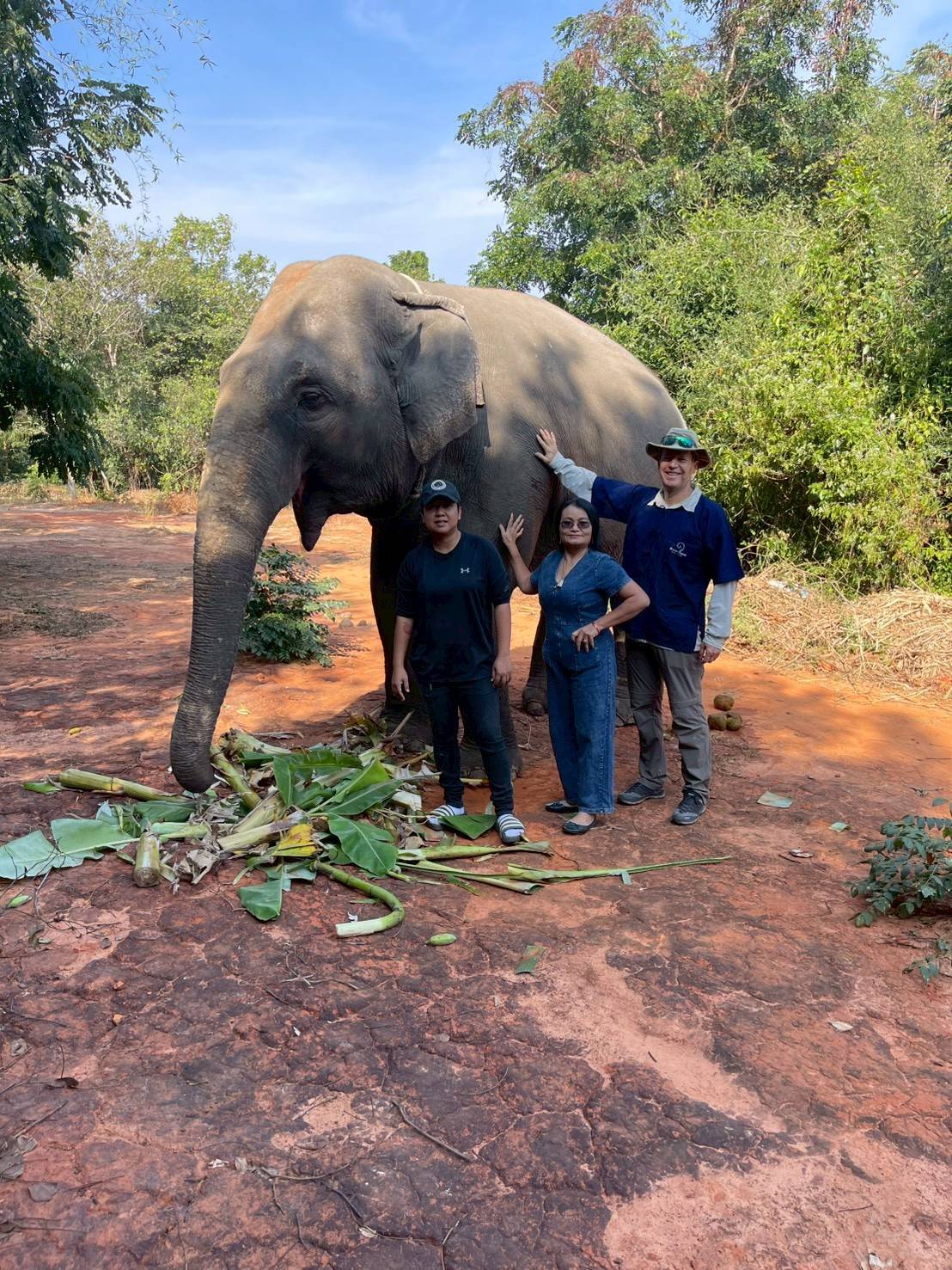 20 - https://greentrunksanctuary.com | We are dedicated to providing a gentle retirement for elderly elephants.