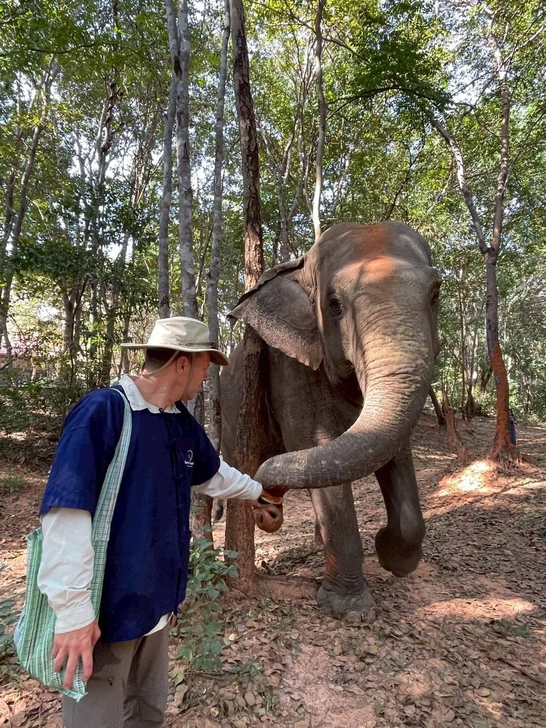 We are dedicated to providing a gentle retirement for elderly elephants.