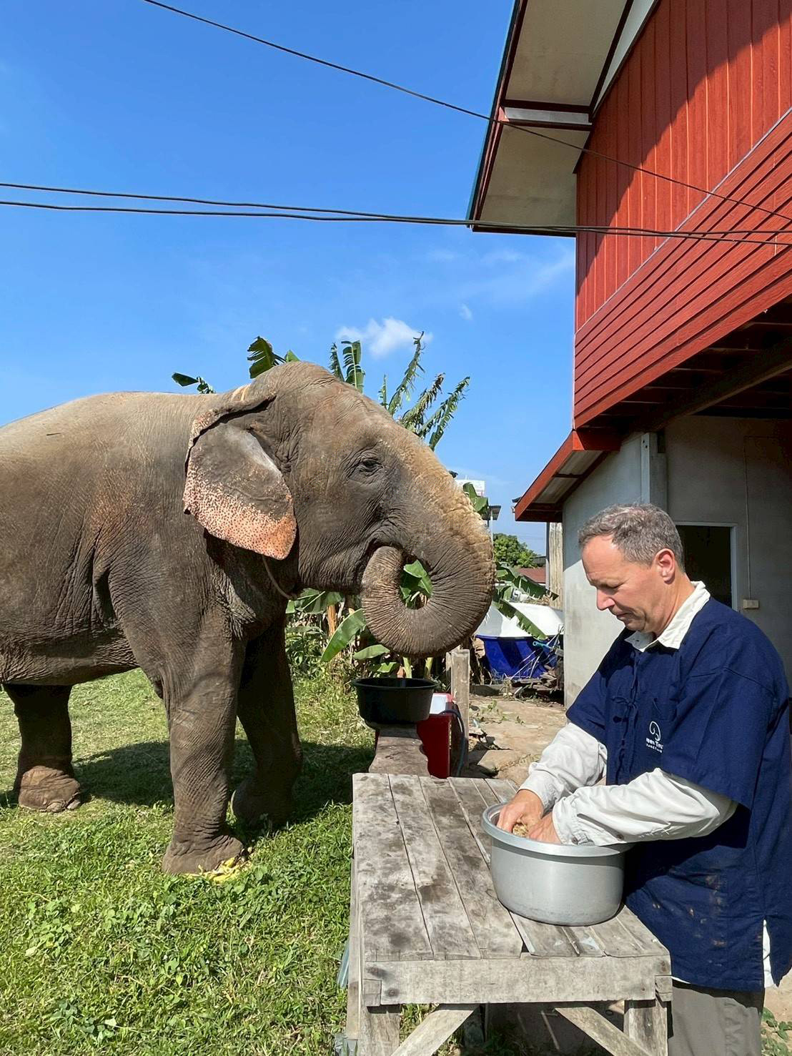 We are dedicated to providing a gentle retirement for elderly elephants.