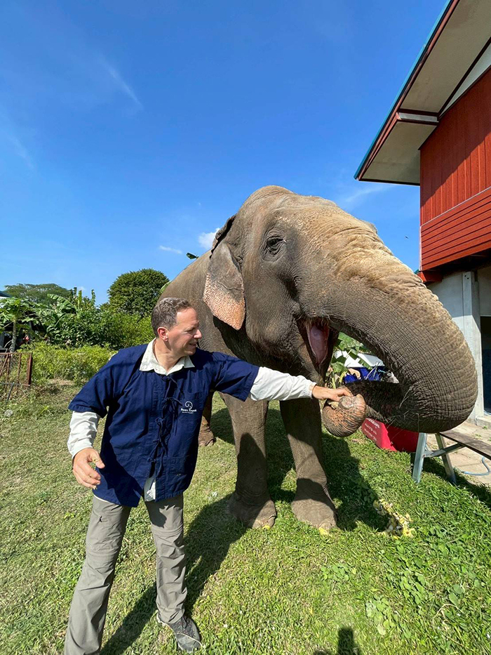 We are dedicated to providing a gentle retirement for elderly elephants.